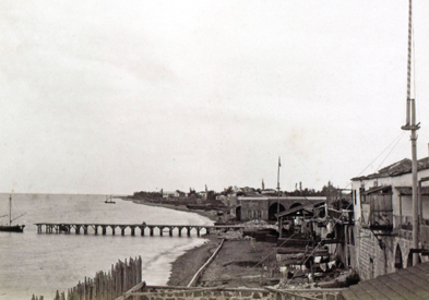 6-mersin