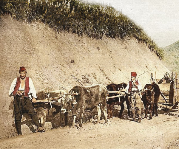 Osmanlı'da tarım